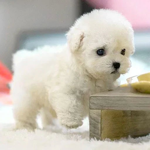 Interactive Plush Puppy with Realistic Movements – For Kids & Seniors