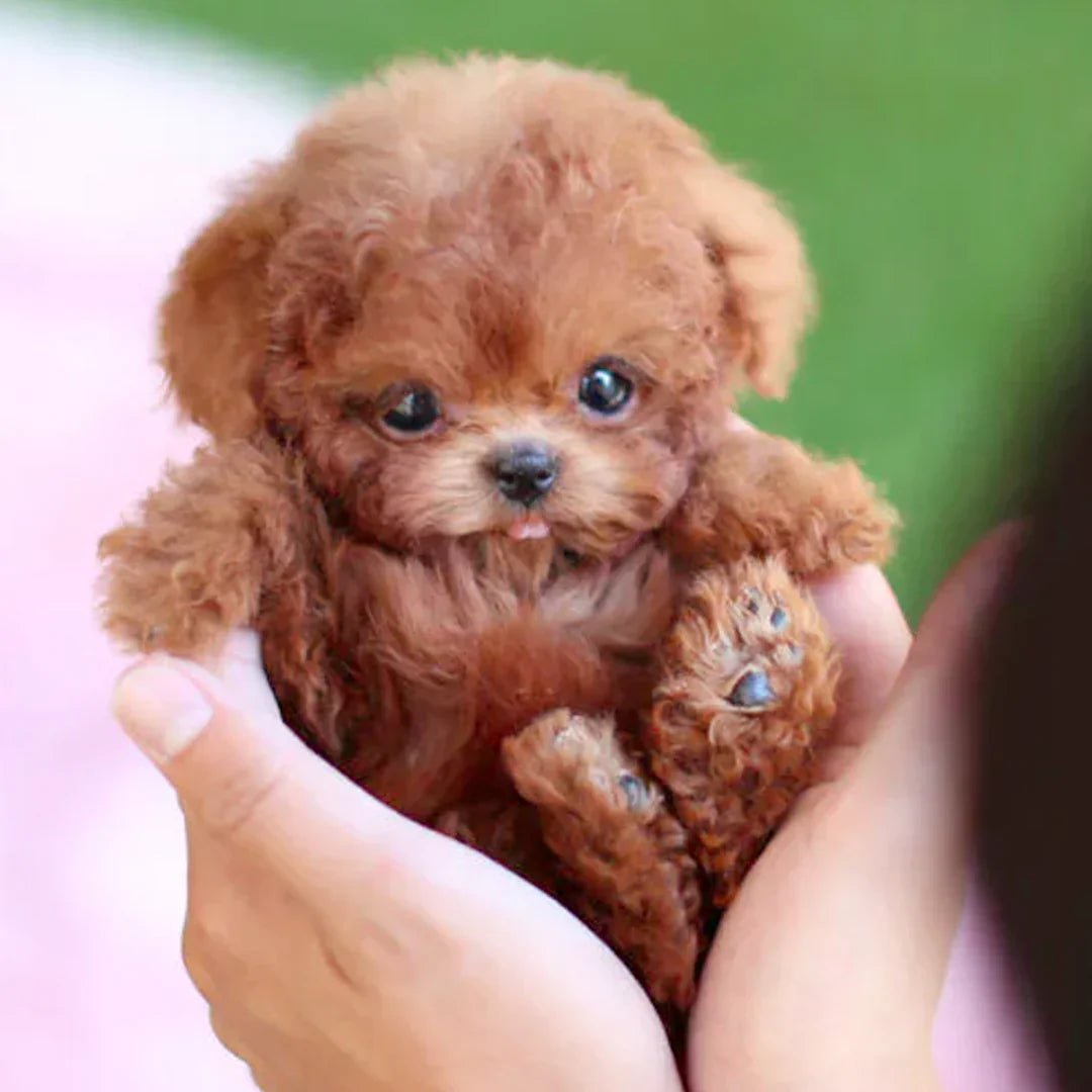 Interactive Plush Puppy with Realistic Movements – For Kids & Seniors
