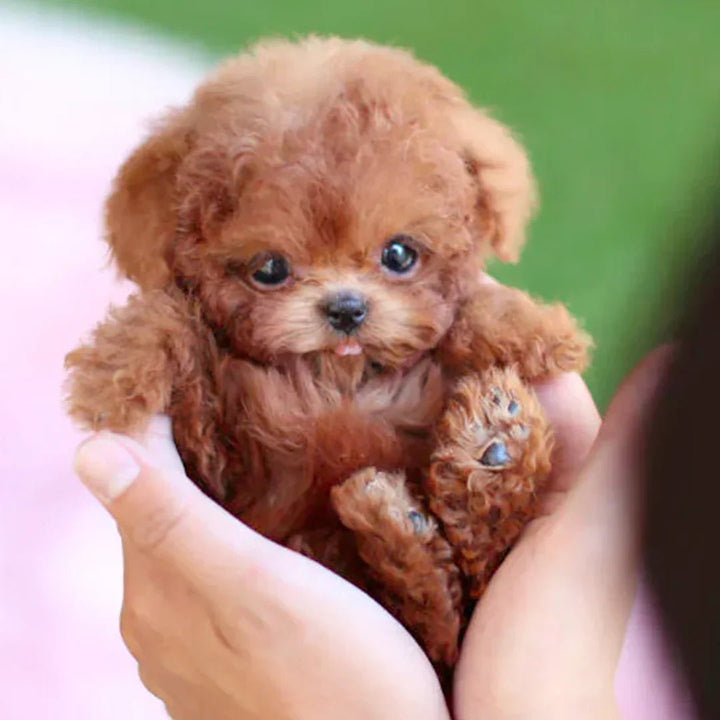 Interactive Plush Puppy with Realistic Movements – For Kids & Seniors