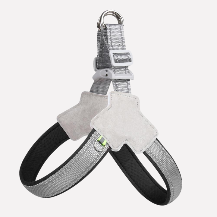 Dog Harness – No-Pull Design for Walking and Travel