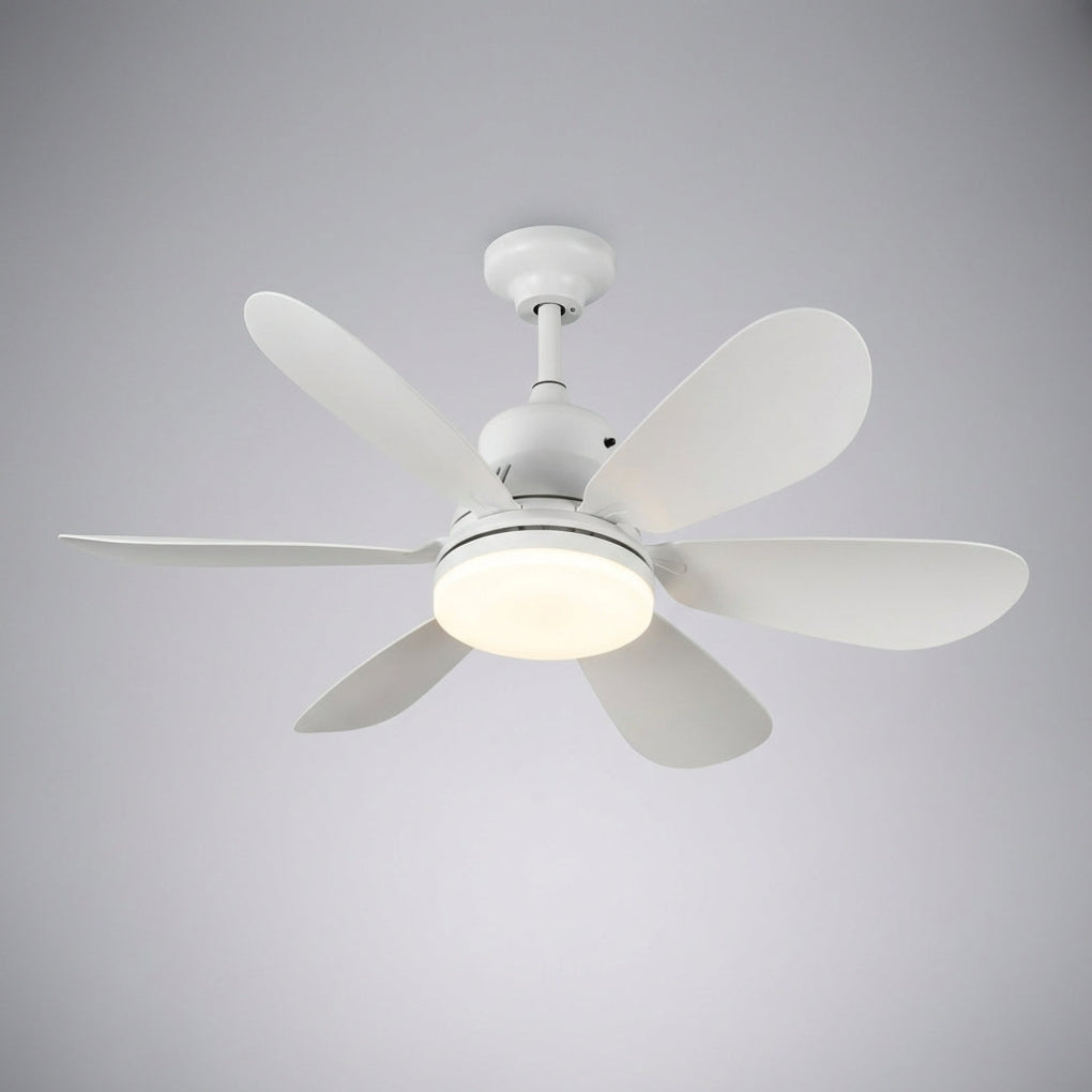 Remote Controlled Ceiling Fixture - SkyeLight