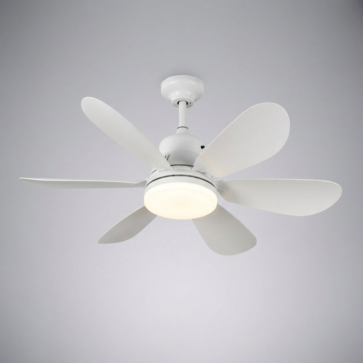 Remote Controlled Ceiling Fixture - SkyeLight