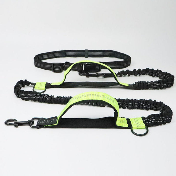 Multifunction Hands-Free Dog Lead with Safety Seat Belt