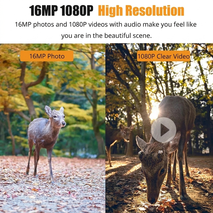 1080P Night Vision Trail Camera | Capture Wildlife in Clear Detail