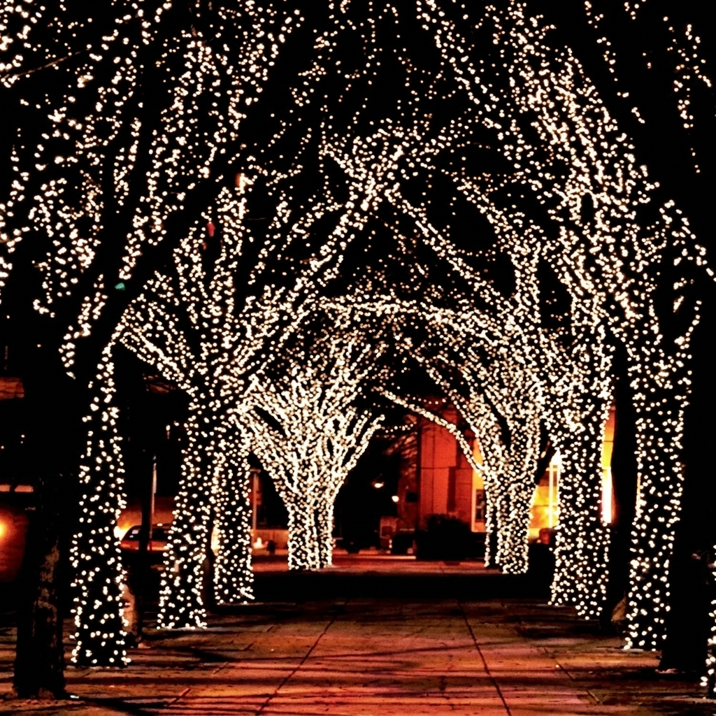 Outdoor 100-LED Solar Fairy Light String – 17 Meters