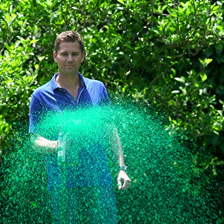 Liquid Lawn Seed Spray