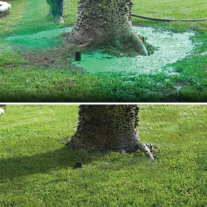 Eco Lawn Growth Spray – Easy Grass Seeding Solution